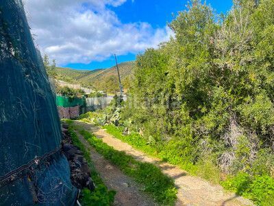 Foto 41ff7b44-f00b-4f0d-acbd-3a4ff7895798. Finca rústica a aguatona 4 a Ingenio pueblo Ingenio