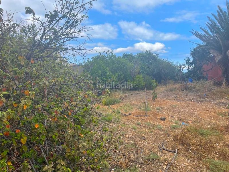 Foto 66d71c26-6be3-4162-aeeb-0764fabba483. Terreny residencial a Ingenio pueblo Ingenio