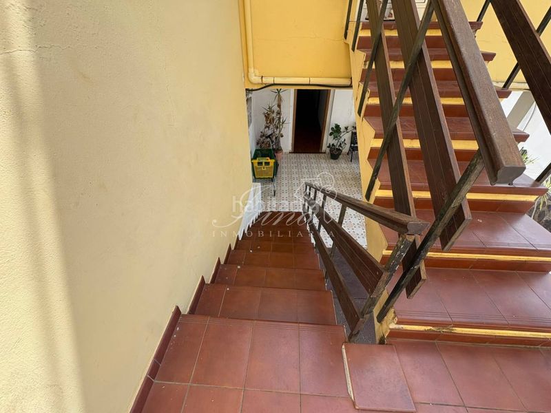 Foto cdbb8b6c-3221-4241-8447-be503e0272bf. Pis a Tazacorte