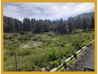 Finca rústica a Paso (El). Terreno en venta en el paso