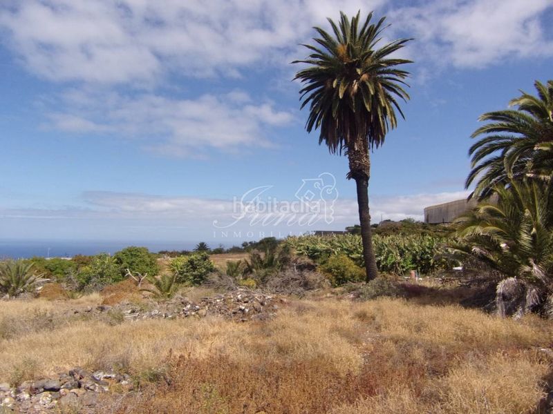Foto 0b3768d0-d937-4cf6-87d7-4554fe7dab04. Masia a Tijarafe
