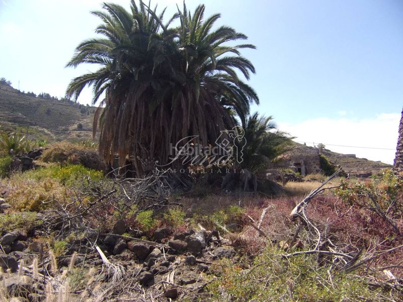 Foto 459c4073-4406-41a9-9ca8-25062b950f1b. Masia a Tijarafe