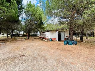 Finca rústica a Traspinedo. Terrenos en venta en traspinedo
