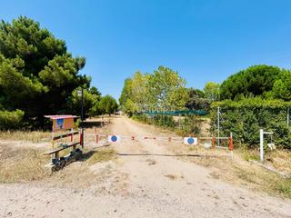 Finca rústica en Pedraja de Portillo (La). Terrenos en venta en aldeamayor de san martín