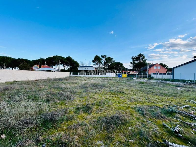 Foto db05d831-5f78-4708-8843-ffeb7a2e6646. Terreny residencial a Mojados