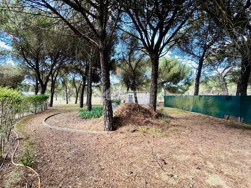 Foto 08c15624-8db8-40f7-a9f7-93bed7502a08. Casa a Laguna de Duero
