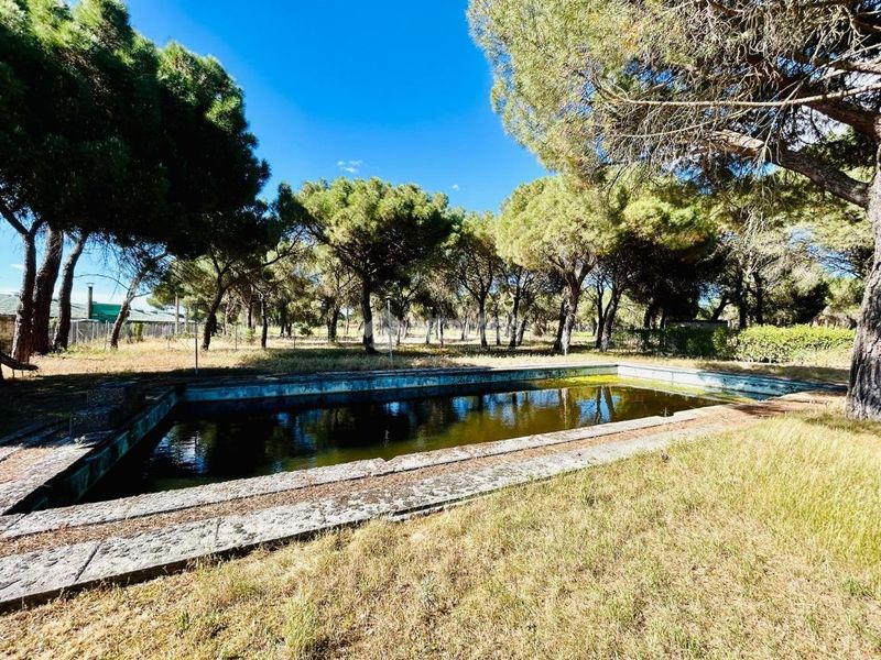 Foto 43550b5f-c373-4aa9-8ad2-859f966dde4c. Casa a Laguna de Duero