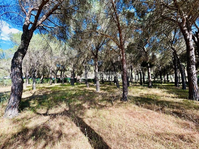Foto 58c1711f-6688-40cd-85bd-ee9394f1d710. Casa a Laguna de Duero