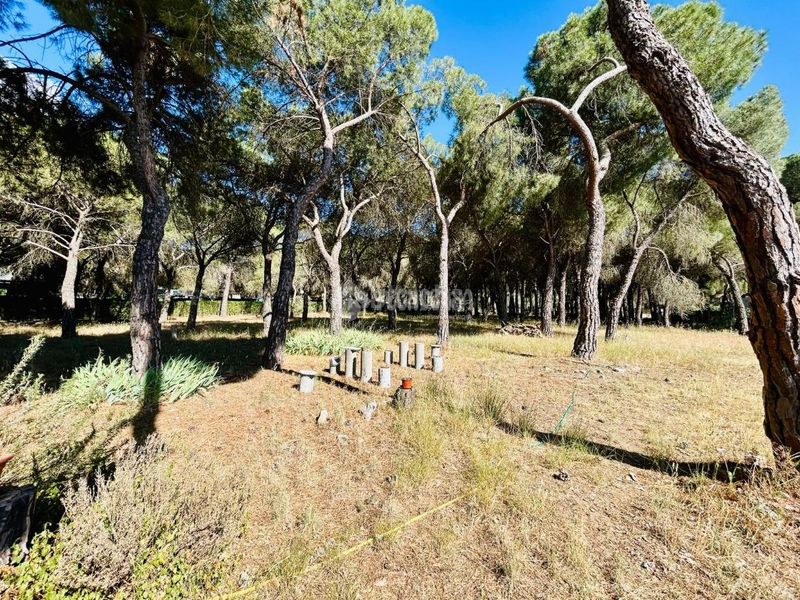 Foto 9c7e77b7-3637-4367-98d3-01a275127b00. Casa a Laguna de Duero