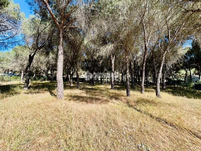 Foto a289ea24-270e-4fa5-b8f1-359ebc108141. Casa a Laguna de Duero