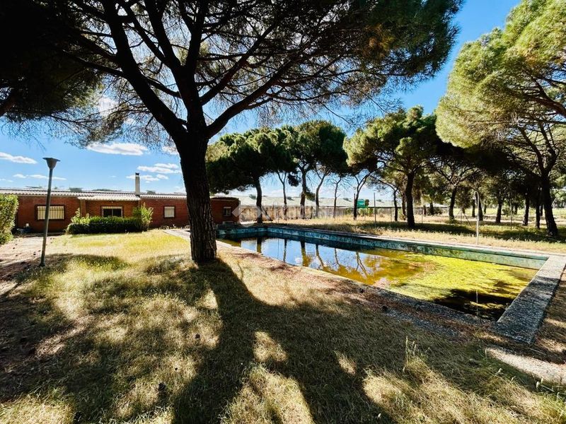 Foto b13063f5-e826-4883-b50c-5950c174c7e6. Casa a Laguna de Duero