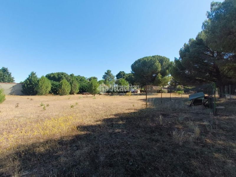 Foto 15a63eff-9e36-4855-9624-24fcec20e9f3. Finca rústica a Medina del Campo