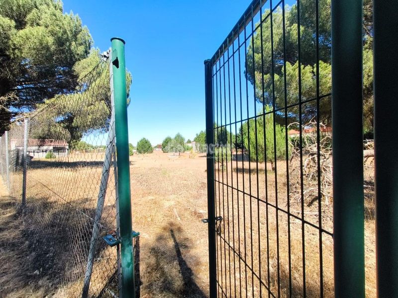 Foto 178436d3-0e98-453e-8380-c1a2dee07a07. Finca rústica a Medina del Campo