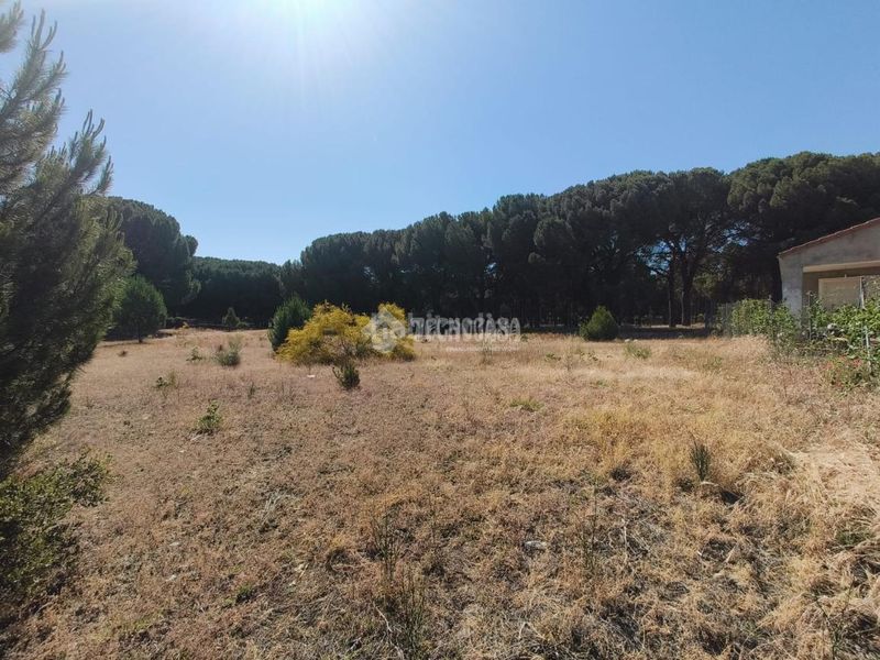 Foto 210f7d35-f4f4-4868-8580-c27f0fce7616. Finca rústica a Medina del Campo