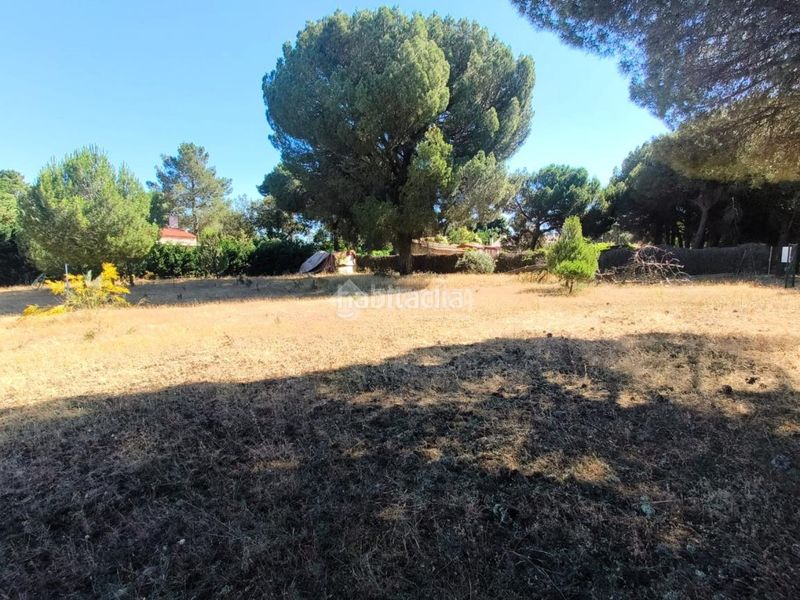 Foto 3dc5c1b1-1ffb-4904-81e3-40294e5def8a. Finca rústica a Medina del Campo