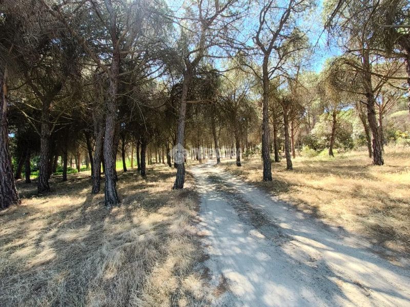 Foto 4b48cd42-edff-45a0-8f1d-7c3d3c41d2f9. Finca rústica a Medina del Campo