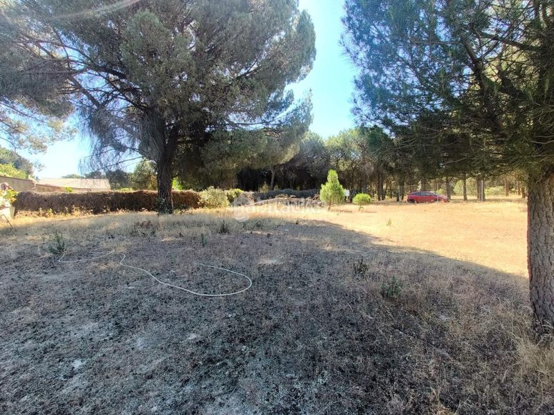 Foto 8376609e-8f4b-4511-941d-fca04c096e93. Finca rústica a Medina del Campo