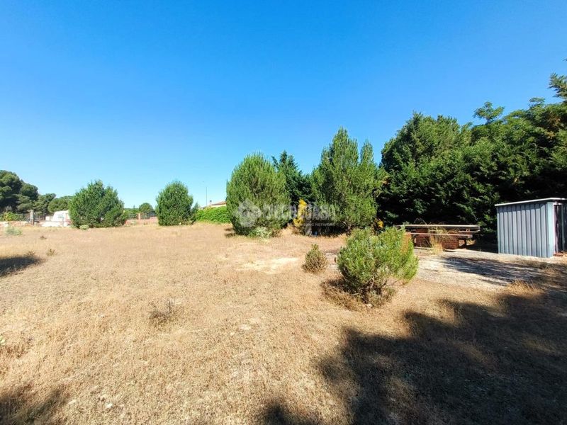 Foto 977e79fd-38fe-4dfb-be32-260d2d8ef79e. Finca rústica a Medina del Campo