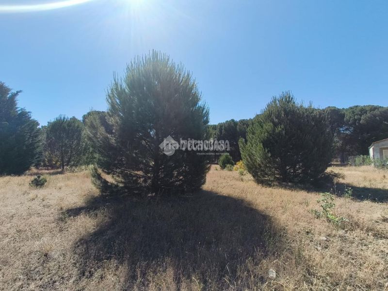 Foto ad96f47d-7295-4a68-b55e-5cc02cd38e77. Finca rústica a Medina del Campo