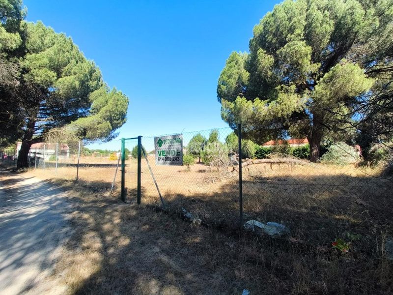 Foto ddc5c464-cd13-4550-9c89-6121eb51dbb1. Finca rústica a Medina del Campo