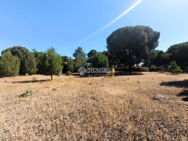 Foto f8cb04cf-fdb8-42c2-bcd7-b6bd71bdedda. Finca rústica a Medina del Campo