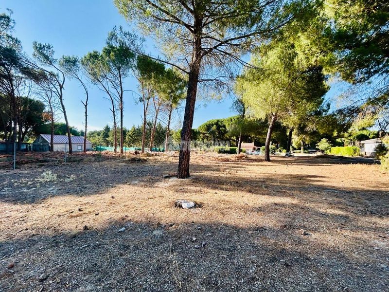 Foto ab526951-8e05-4ce7-97a3-57f7f5159ef7. Casa a Traspinedo