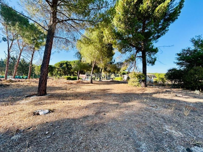 Foto c317f326-be01-409b-84bd-d12a6ad8ddd8. Casa a Traspinedo