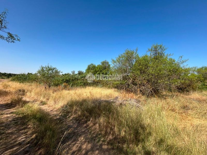 Foto 02295b7c-e01e-4386-9de7-62c95e90e500. Finca rústica terrenos en venta en Laguna de Duero