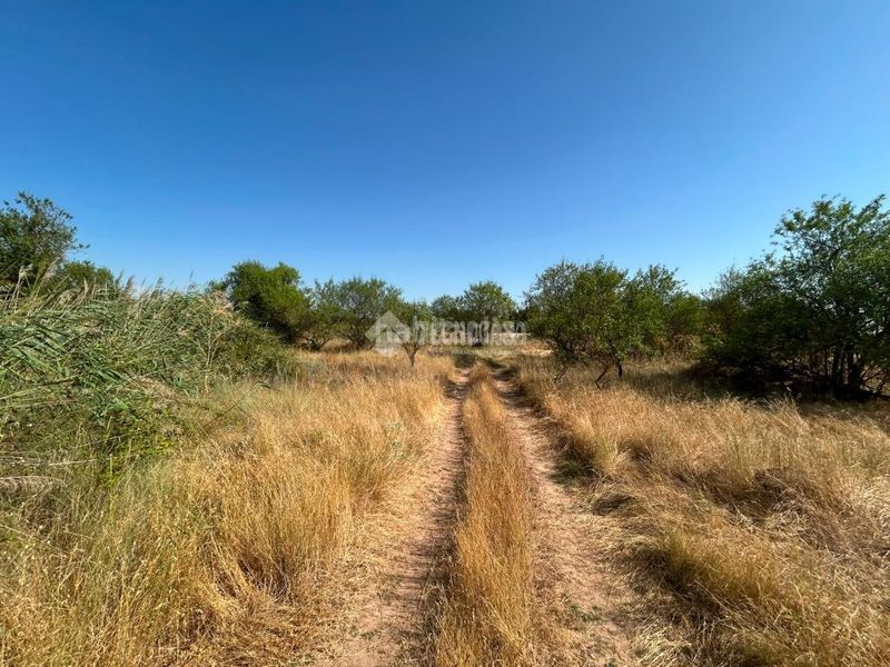 Foto 0d38ba3d-1160-4dcf-a0ad-87ab19c3c617. Finca rústica terrenos en venta en Laguna de Duero
