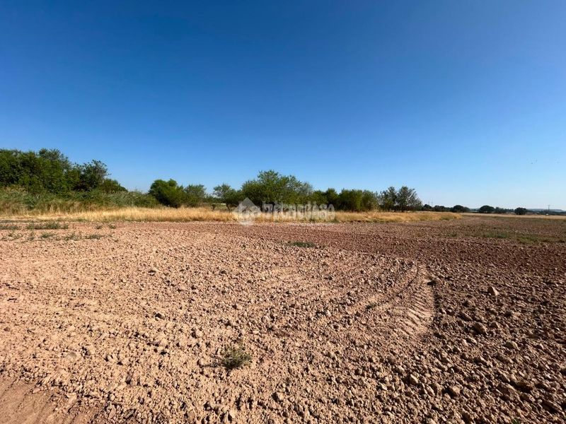 Foto 0f2a5704-4441-46e8-9d2b-2e3a67c9df35. Finca rústica terrenos en venta en Laguna de Duero