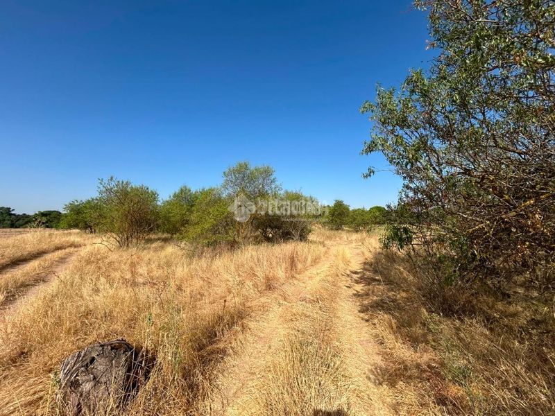 Foto 215a36c8-ec13-49ac-8c67-6dd176c0a8b0. Finca rústica terrenos en venta en Laguna de Duero