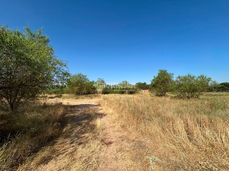 Foto 52dc6cc8-58a7-4f18-a212-cb07b5f4b57e. Finca rústica terrenos en venta en Laguna de Duero