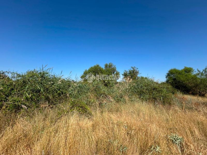 Foto 6ea3feec-482f-4c3c-a552-a21ceaff1471. Finca rústica terrenos en venta en Laguna de Duero
