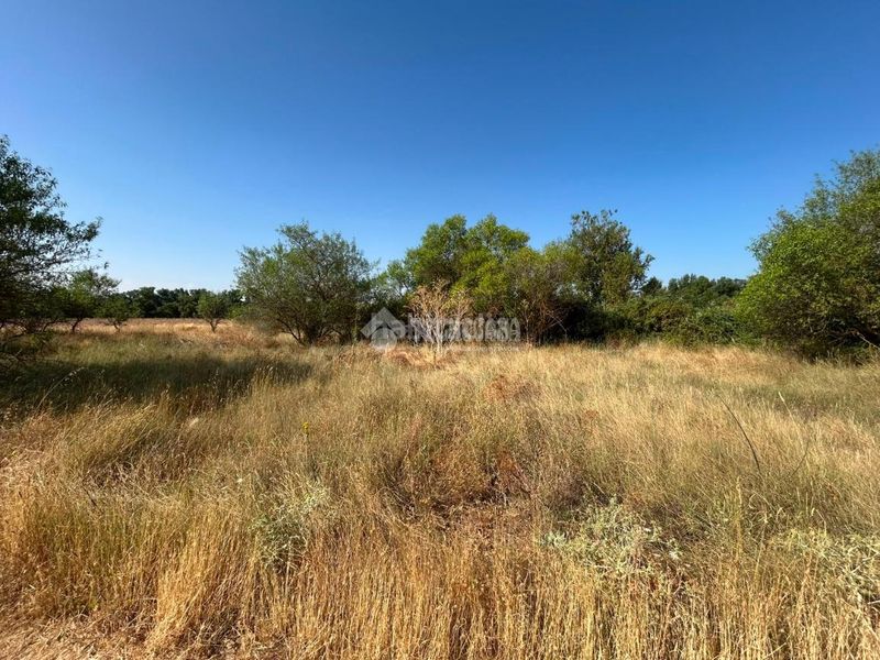Foto 7dddcdc2-1ba2-4b39-a12a-39715c515574. Finca rústica terrenos en venta en Laguna de Duero