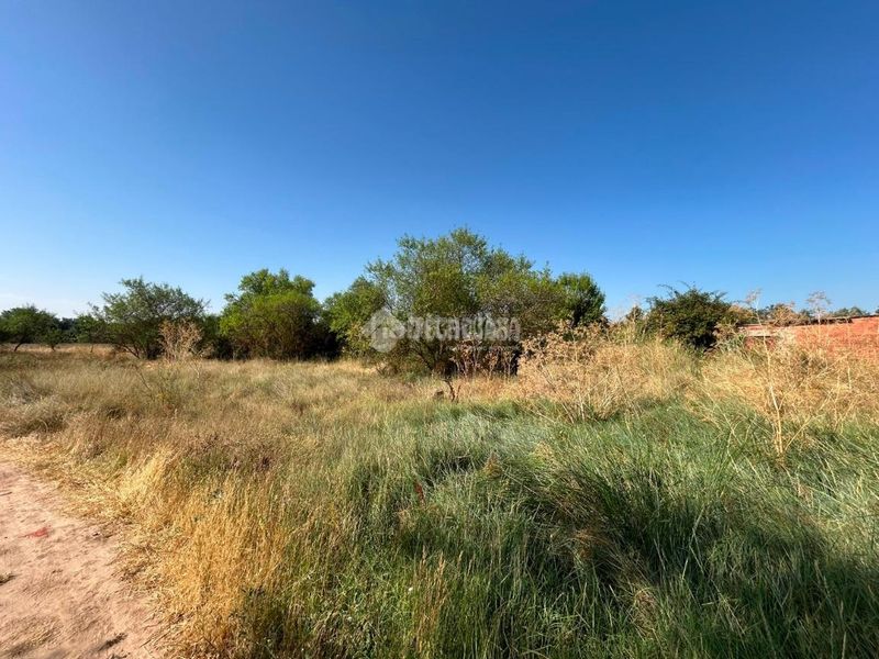 Foto 7eebd12f-57db-49d1-af63-d25a91a2594b. Finca rústica terrenos en venta en Laguna de Duero