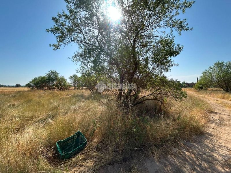 Foto 82e8cf08-3912-4724-b819-83e0f942b1b4. Finca rústica terrenos en venta en Laguna de Duero