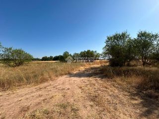 Finca rústica a Laguna de Duero. Terrenos en venta en laguna de duero