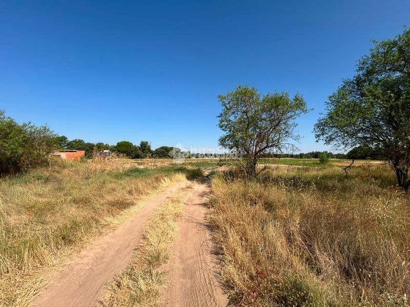 Foto de91a894-adce-4120-b7e8-a3f786e249c6. Finca rústica terrenos en venta en Laguna de Duero