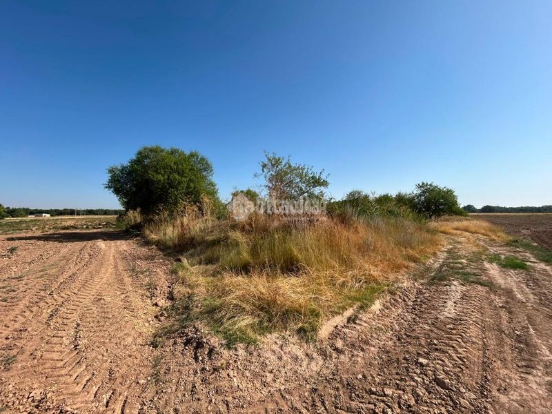 Foto e6e3f515-6820-4ebd-8a51-565675fcf41c. Finca rústica terrenos en venta en Laguna de Duero