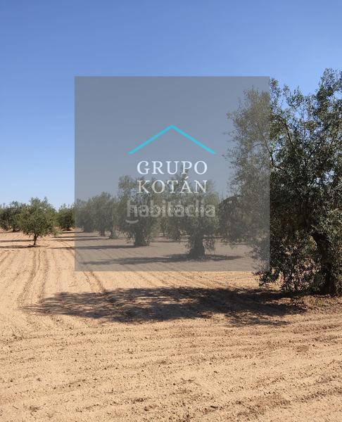 Foto 0f6409df-46b0-441b-9751-674d912cae47. Landgut in Almonte Almonte