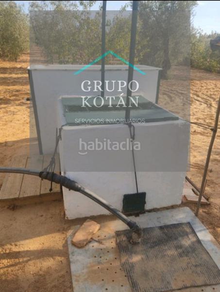 Foto b13a4e50-fe94-49b4-8d3c-f254ac23af35. Landgut in Almonte Almonte