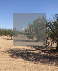 Finca rústica  N/a. Finca venta regadío olivos almonte doñana pozo
