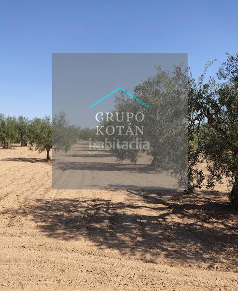 Foto bac2e365-c9df-4a21-81d6-f83a9c4e594f. Landgut in Almonte Almonte