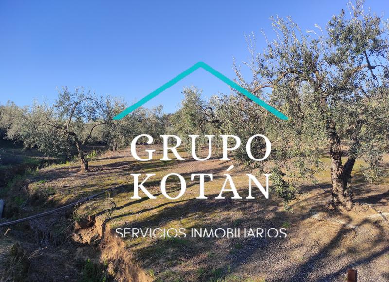 Foto 043ba48d-aa7d-437b-b4fe-7c73e358a178. Masía en avenida del rocio 6 inversión finca rústica regadío olivo sevilla aove en Huévar