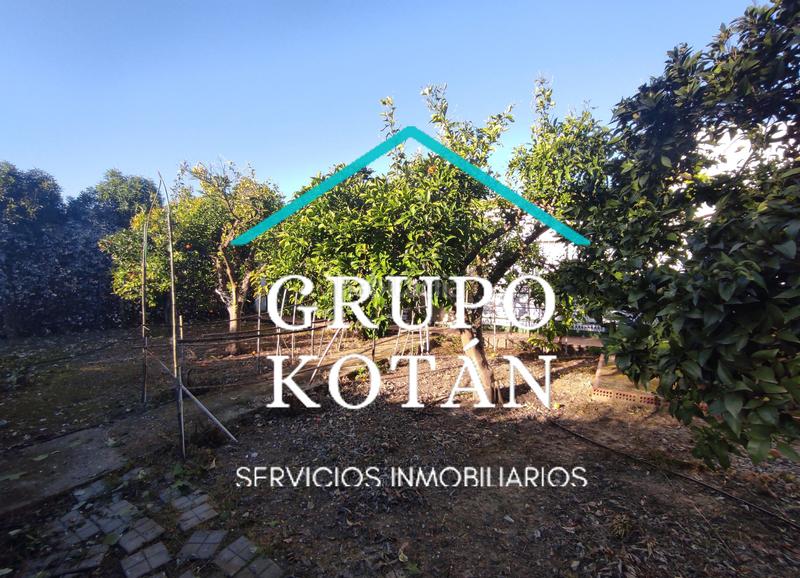 Foto 13e46af3-bbe2-469e-b589-3b7b728d4752. Masía en avenida del rocio 6 inversión finca rústica regadío olivo sevilla aove en Huévar