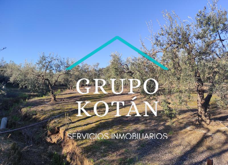 Foto 1d606770-3aa1-454f-a267-3ab021bb3566. Masía en avenida del rocio 6 inversión finca rústica regadío olivo sevilla aove en Huévar