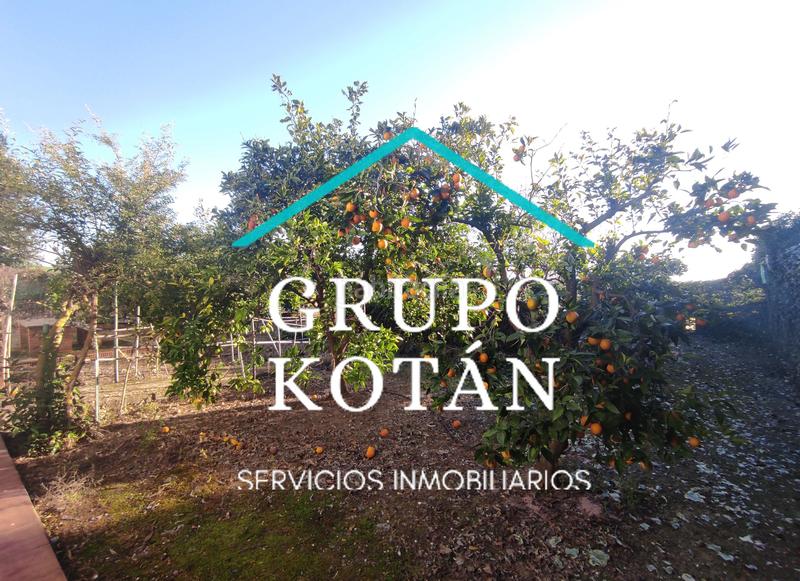 Foto 28ebb9de-e896-4378-b44e-5ca09937a0a5. Masía en avenida del rocio 6 inversión finca rústica regadío olivo sevilla aove en Huévar