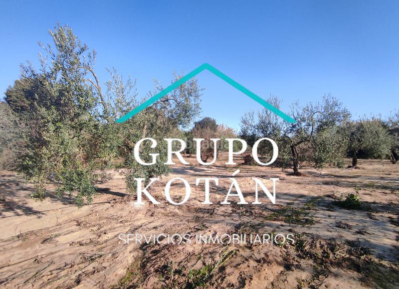 Foto 4943f34e-e94d-4f53-b446-9454702ecf46. Masía en avenida del rocio 6 inversión finca rústica regadío olivo sevilla aove en Huévar