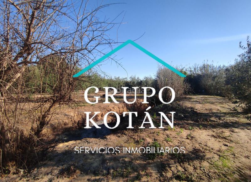 Foto 678dc7d4-44f2-4c9d-b1ff-d2447c101179. Masía en avenida del rocio 6 inversión finca rústica regadío olivo sevilla aove en Huévar