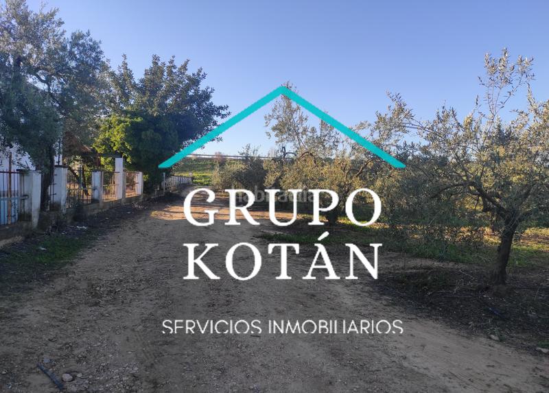 Foto 698e1549-9a86-4295-a9d7-7a35c35599df. Masía en avenida del rocio 6 inversión finca rústica regadío olivo sevilla aove en Huévar